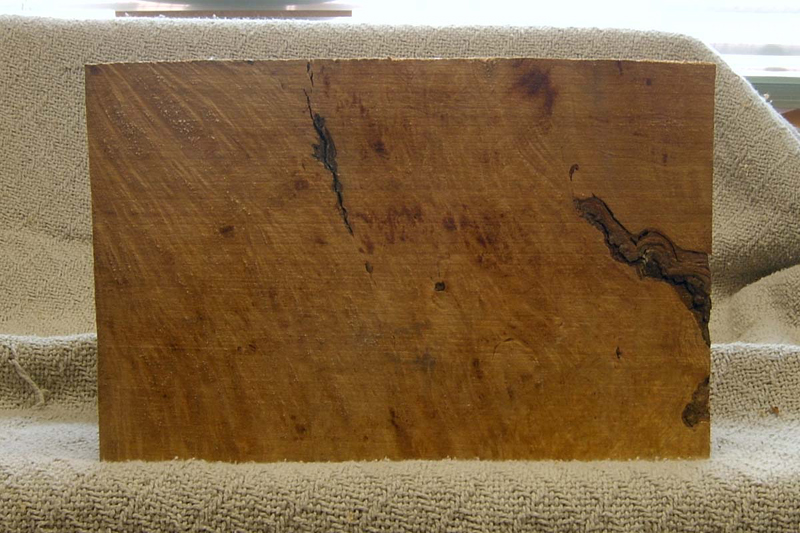 maple_burl_001a_d