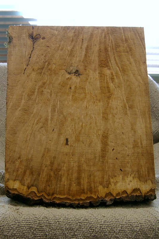 maple_burl_002a_a