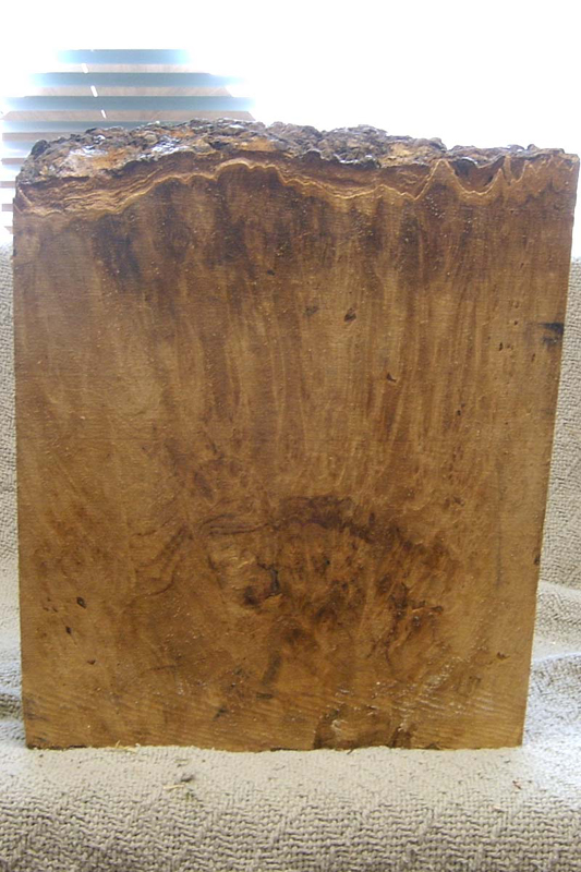 maple_burl_002a_b