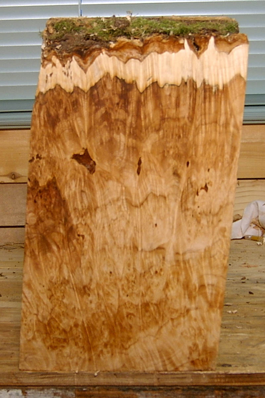 maple_burl_004_back