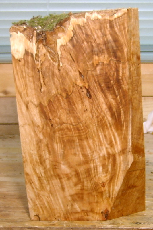 maple_burl_004_left_side