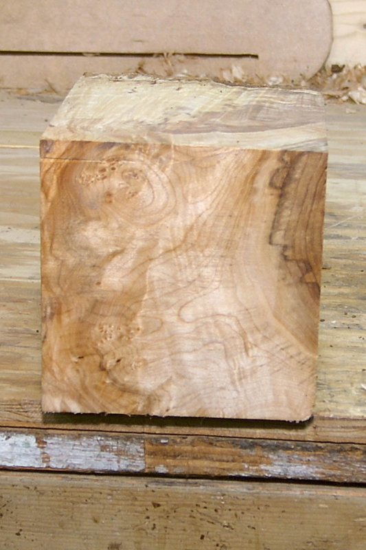 maple_burl_005_bottom