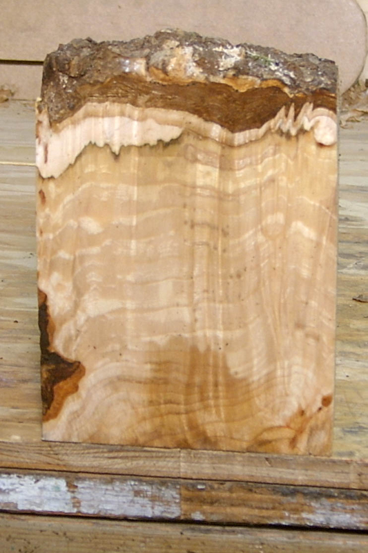 maple_burl_005_front