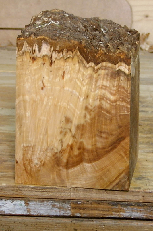 maple_burl_005_right_side