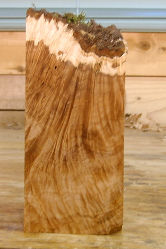 maple_burl_006_front