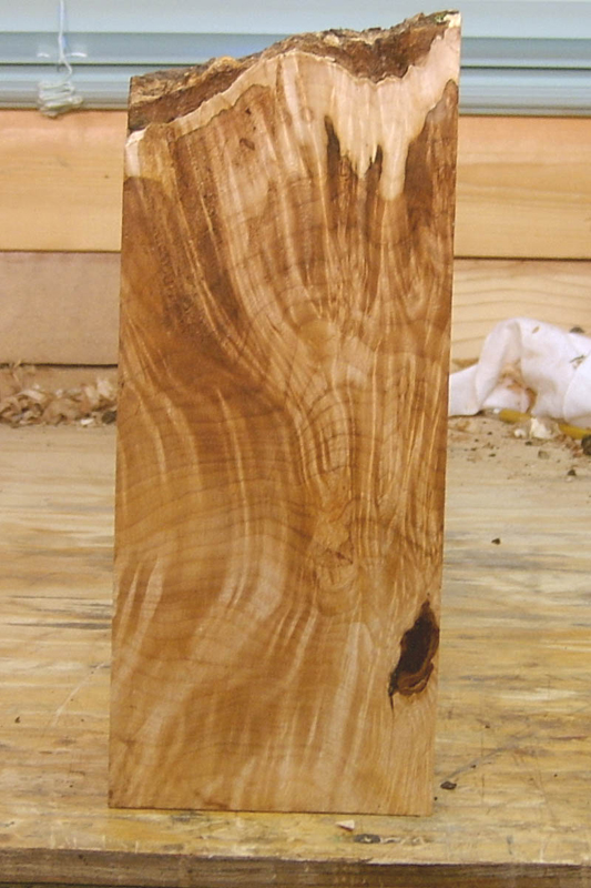 maple_burl_007_back