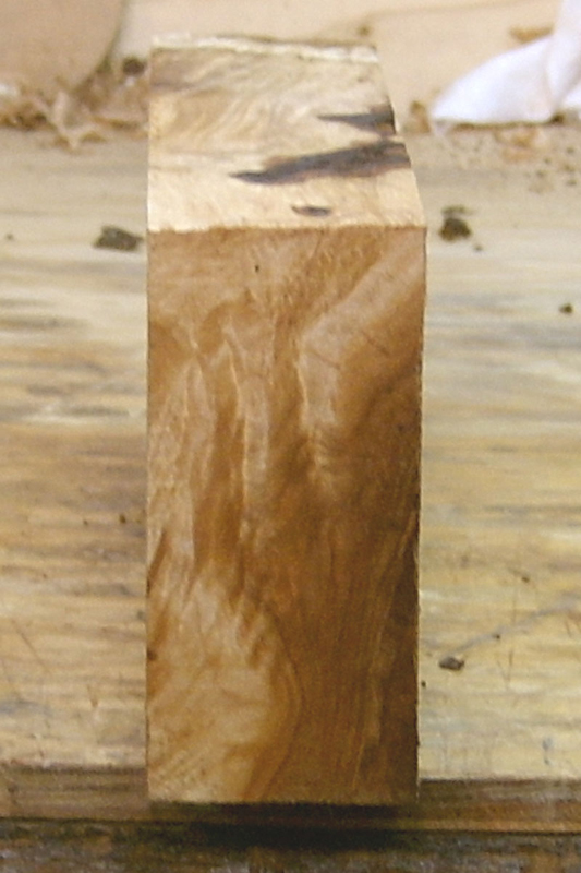 maple_burl_007_bottom