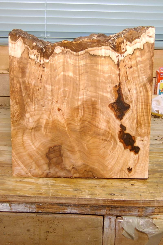 maple_burl_008_back