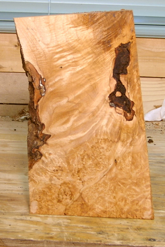 maple_burl_009_back