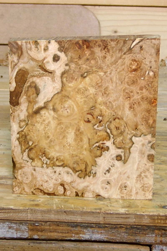 maple_burl_010_back