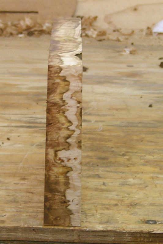 maple_burl_010_right_side