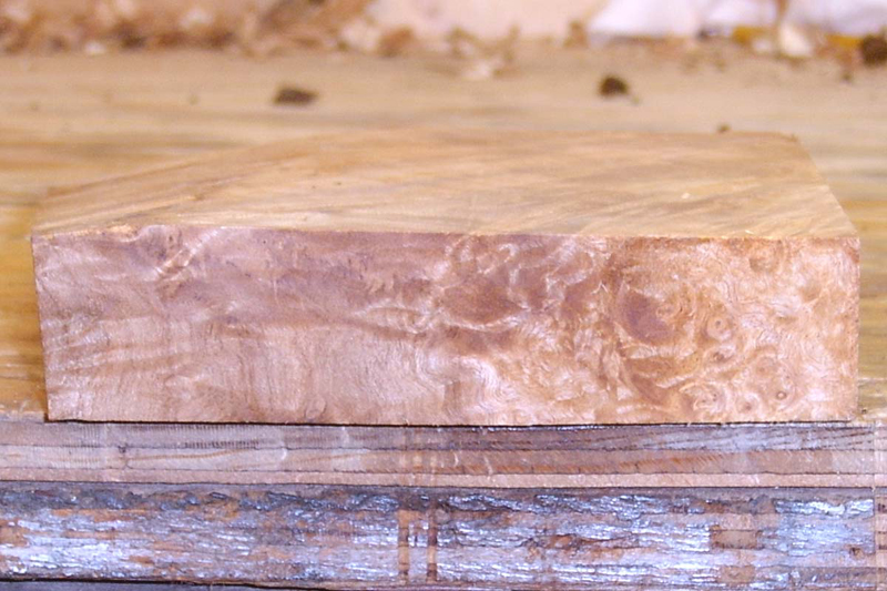 maple_burl_013_bottom