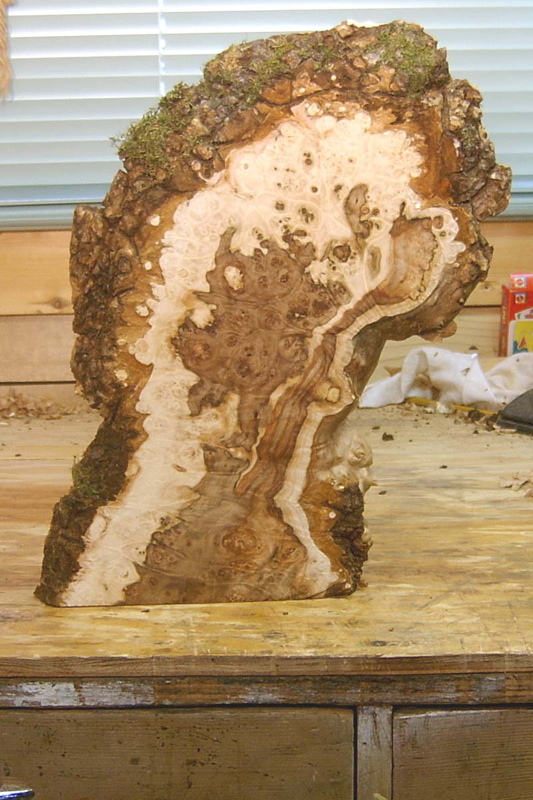 maple_burl_014_back