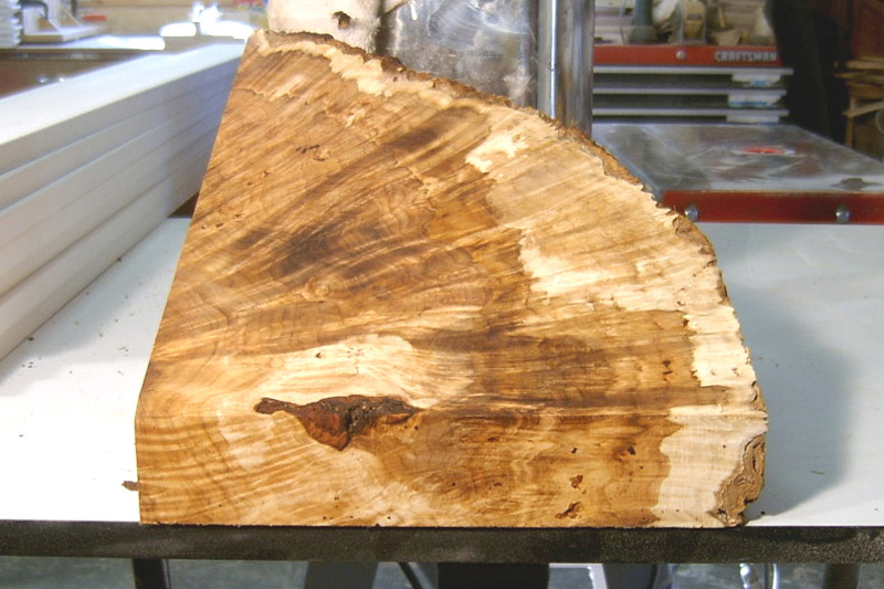 maple_burl_023_end