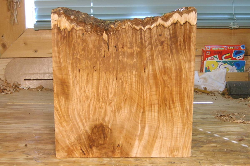 maple_burl_blank_001_back