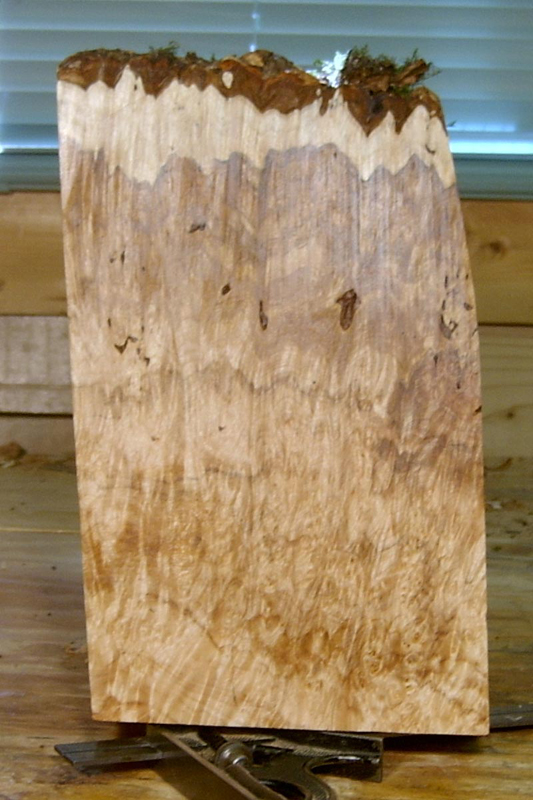 maple_burl_blank_002_back