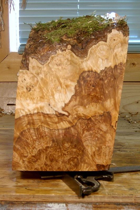 maple_burl_blank_002_front