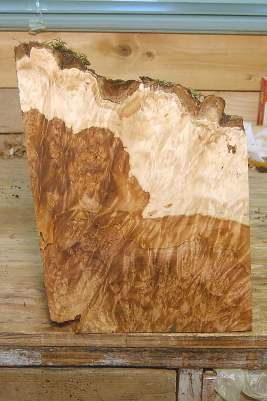 maple_burl_blank_003_front