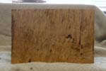 maple_burl_001a_b