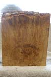 maple_burl_002a_b