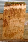 maple_burl_004_back