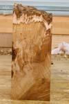 maple_burl_007_front