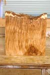 maple_burl_008_front