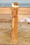 maple_burl_008_left_side