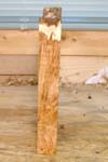 maple_burl_008_right_side