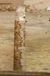 maple_burl_010_right_side