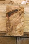 maple_burl_016_bottom