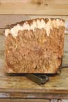 maple_burl_blank_003_bottom