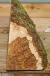 maple_burl_blank_003_right_side